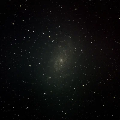 M33